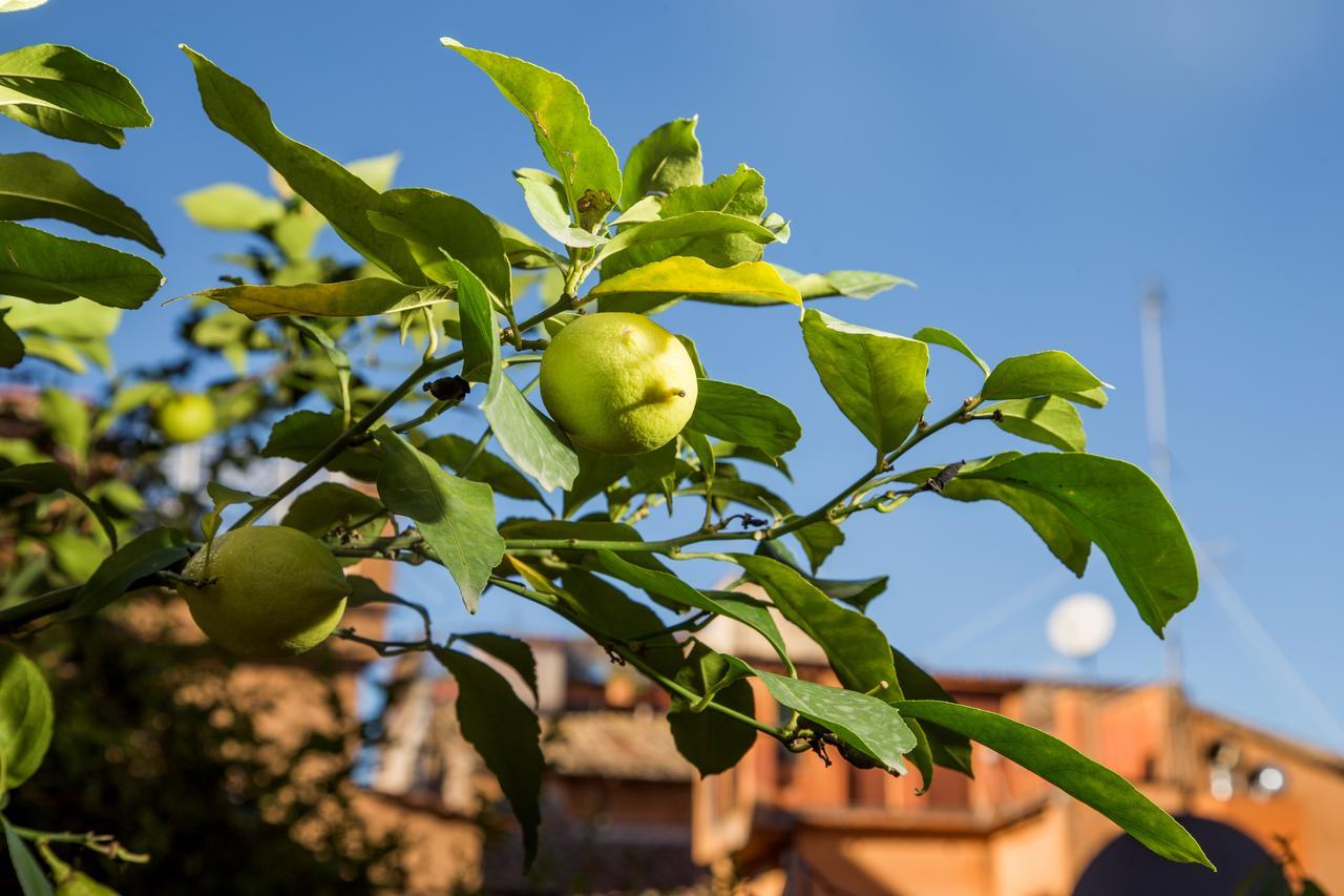 Trastevere Apartments Rom Exteriör bild